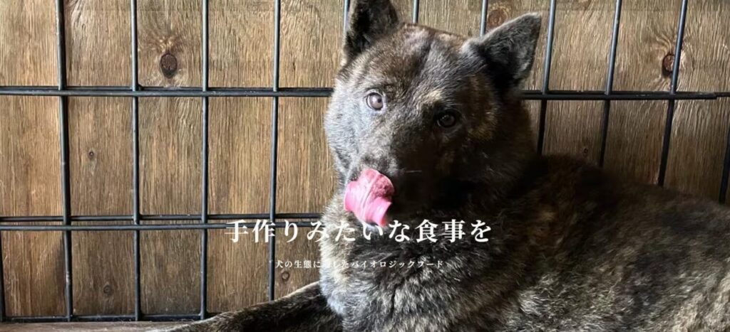 甲斐犬　アカナ ドッグフード フリーランダック 鴨 アレルギー対応